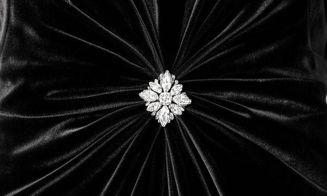 Black velvet gown